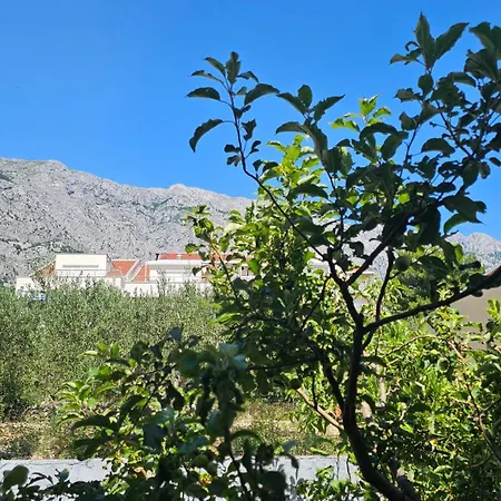 Asja Baška Voda